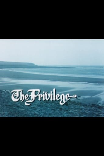 The Privilege Poster
