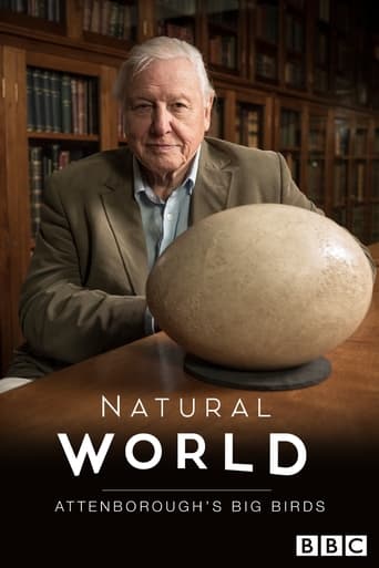 Attenborough's Big Birds Poster