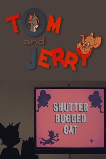 Shutter Bugged Cat Poster