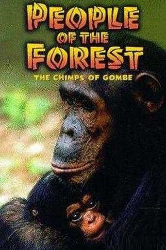 People of the Forest: The Chimps of Gombe Poster