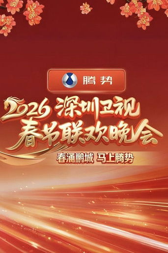 深圳卫视春节联欢晚会 Poster