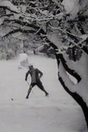 Max Skiing Poster