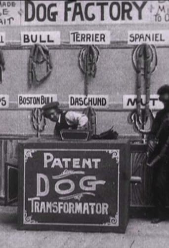 Dog Factory Poster