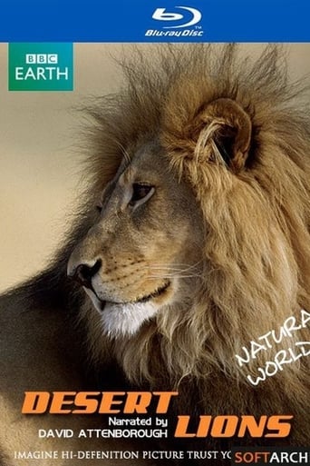 Desert Lions Poster