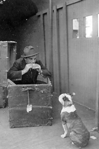 The Dog in the Baggage Car Poster