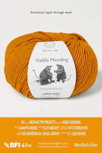 Visible Mending Poster