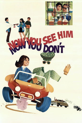 Now You See Him, Now You Don't Poster