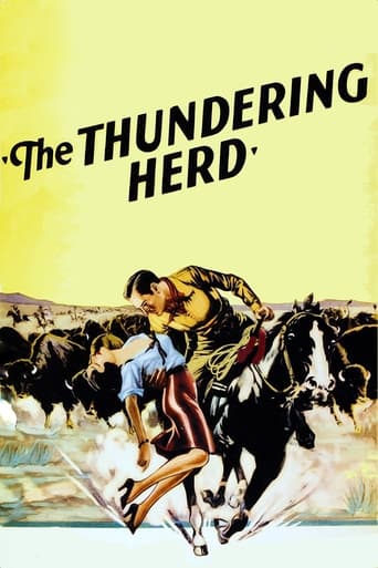Buffalo Stampede Poster