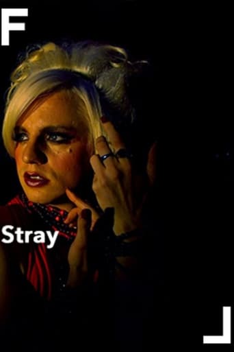Stray Poster