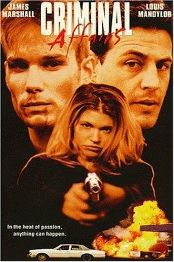 Criminal Affairs Poster