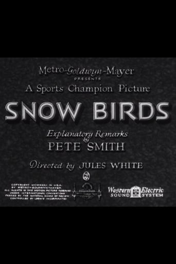 Snow Birds Poster