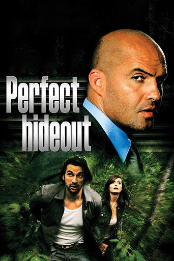 Perfect Hideout Poster