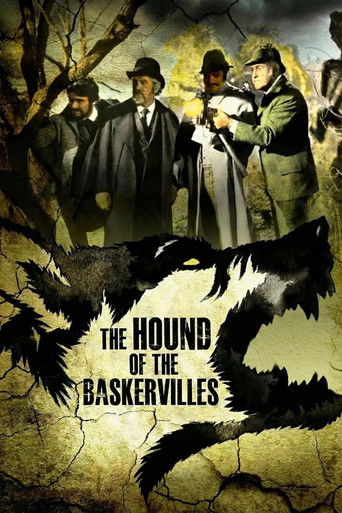 The Hound of the Baskervilles Poster