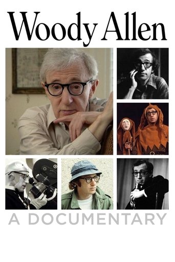 Woody Allen: A Documentary Poster