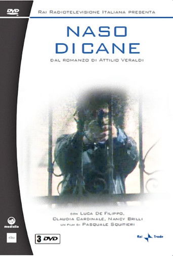 Naso di cane Poster