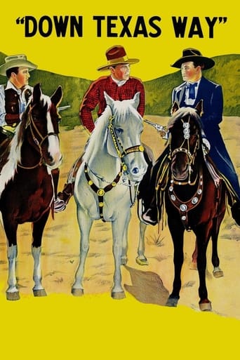Down Texas Way Poster