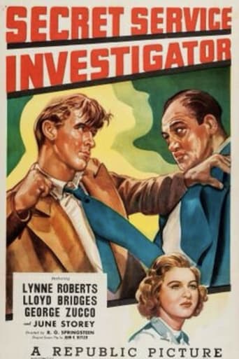 Secret Service Investigator Poster