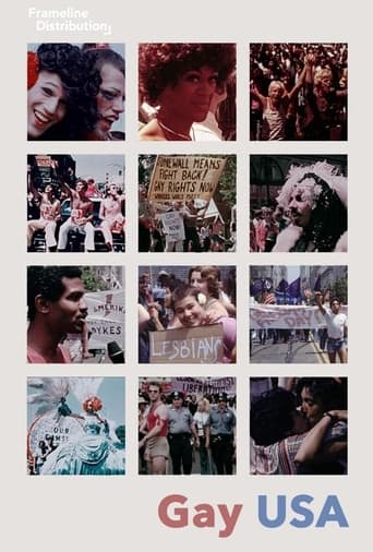 Gay USA Poster