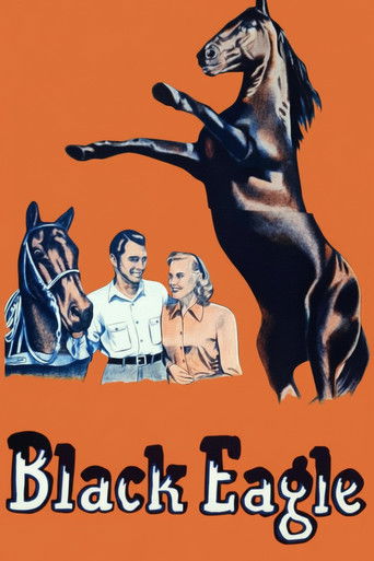 Black Eagle Poster