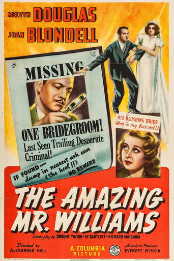The Amazing Mr. Williams Poster