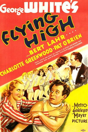 Flying High Poster