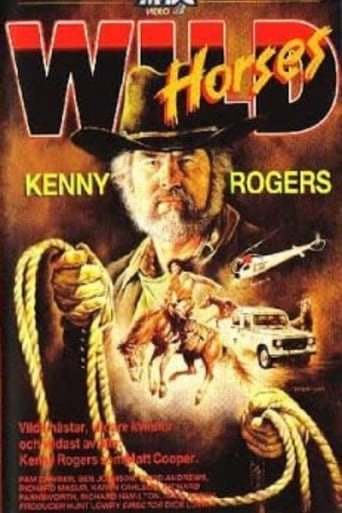 Wild Horses Poster