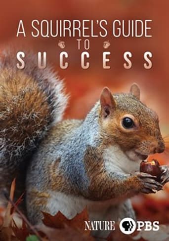 A Squirrel's Guide to Success Poster