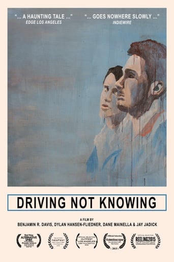 Driving Not Knowing Poster