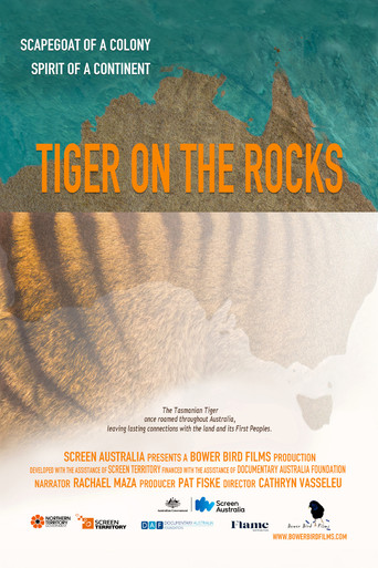 Tiger on the Rocks Poster
