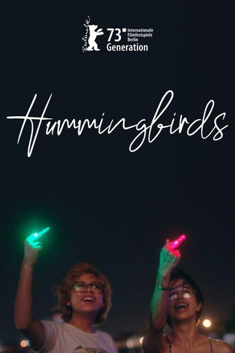 Hummingbirds Poster
