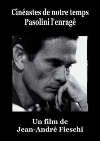 Pasolini l'Enragé Poster