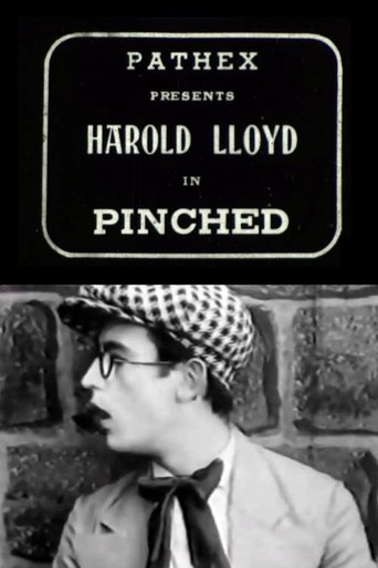 Pinched Poster