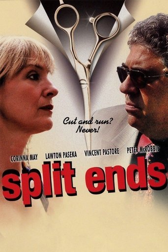 Split Ends Poster