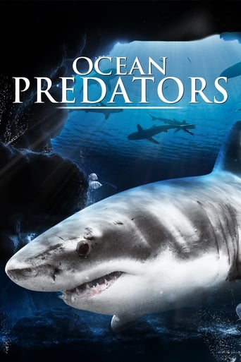 Ocean Predators Poster