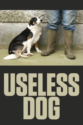 Useless Dog Poster