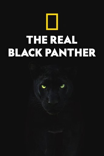 The Real Black Panther Poster