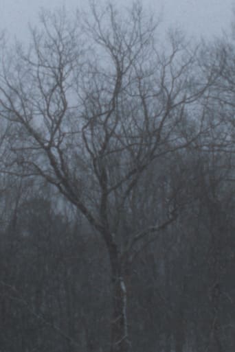 Snowfall Poster