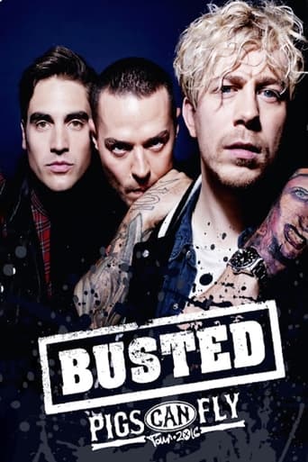 Busted: Pigs Can Fly Tour 2016 Poster