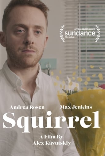 Squirrel Poster
