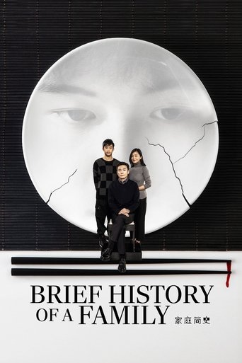 Brief History of a Family Poster