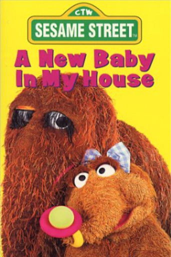 Sesame Street: A New Baby In My House Poster