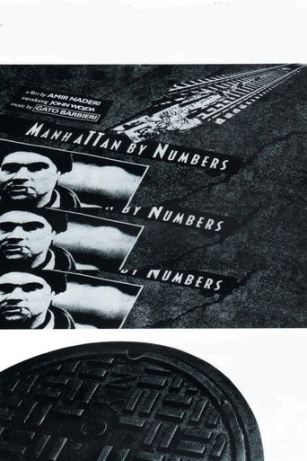 Manhattan by Numbers Poster