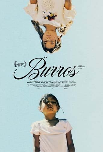 Burros Poster