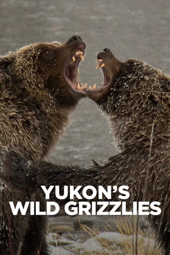 Yukon's Wild Grizzlies Poster