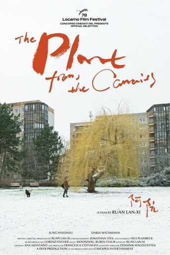 The Plant from the Canaries Poster