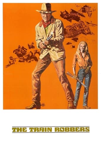 The Train Robbers Poster