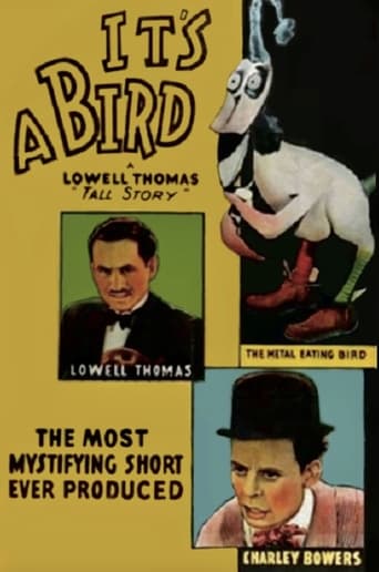 It's a Bird Poster