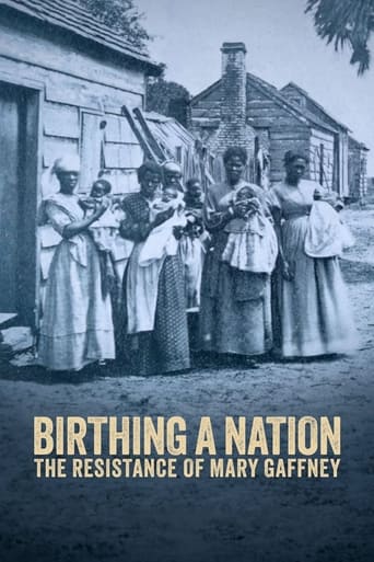 Birthing a Nation: The Resistance of Mary Gaffney Poster