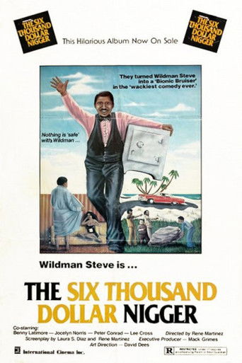 The Six Thousand Dollar Nigger Poster