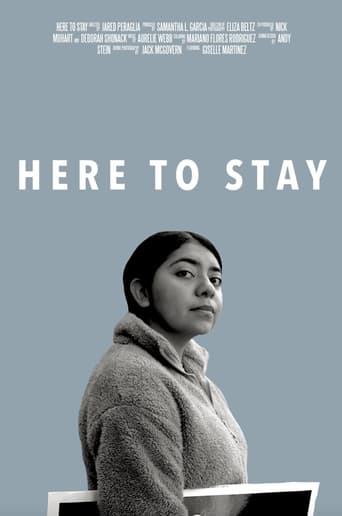 Here to Stay Poster
